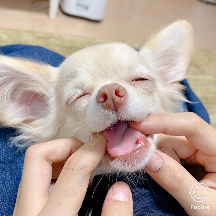 B19e1b83 142d 4a38 bfcc b604b825b11b 1603274891336