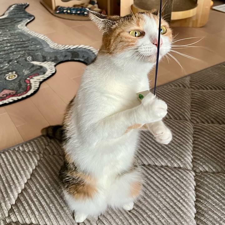 B19e2b47 8889 4999 bbf0 96a542cadd6d 1758944703474