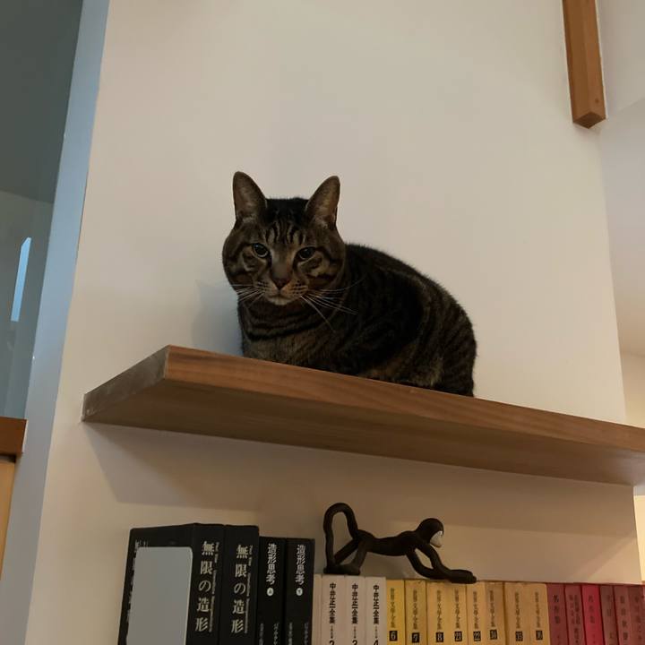 B19e6e37 80d2 4a2a 9b86 0241620a81bb 1735427175790