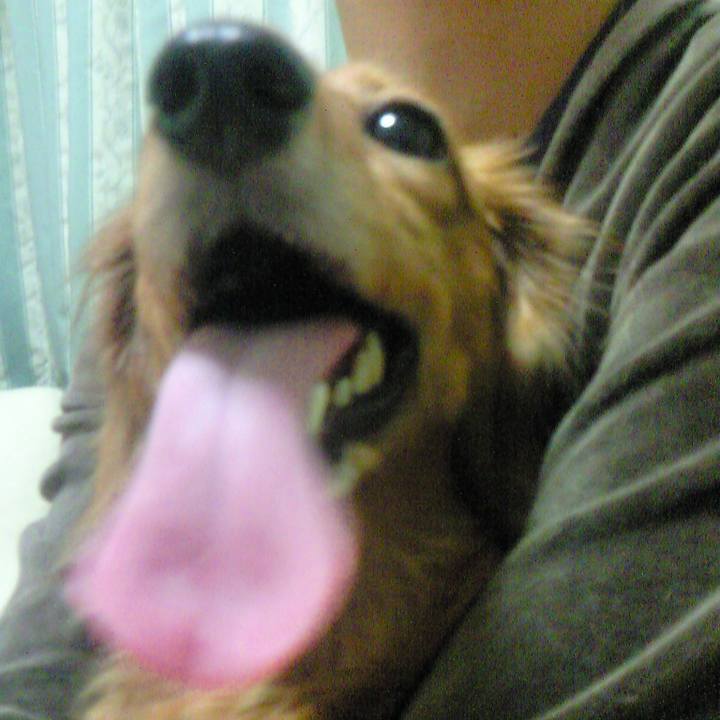 B19e8545 5a45 49b4 bf1d 3269206f0bd7 1536685685406