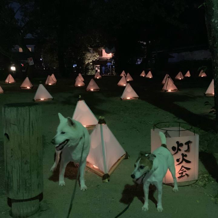 B19eb46e 6c68 4135 9a52 989539103596 1565440043340