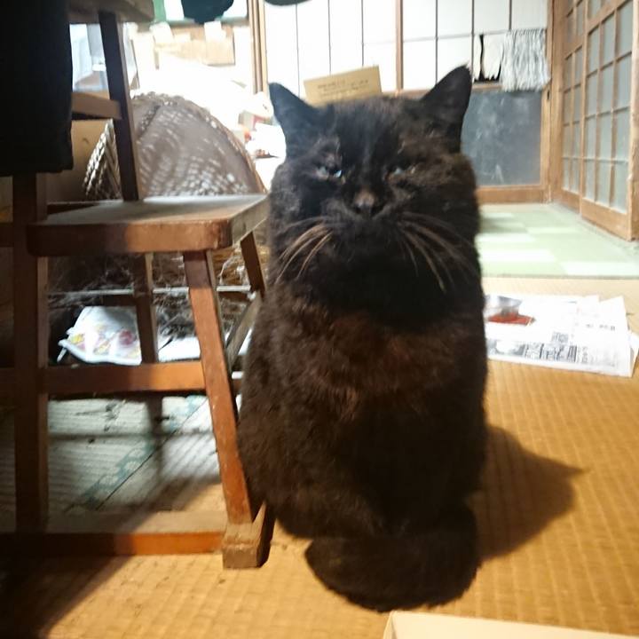 B19ee6ed ba17 458b afd1 aee3d25ea1f7 1616840561395