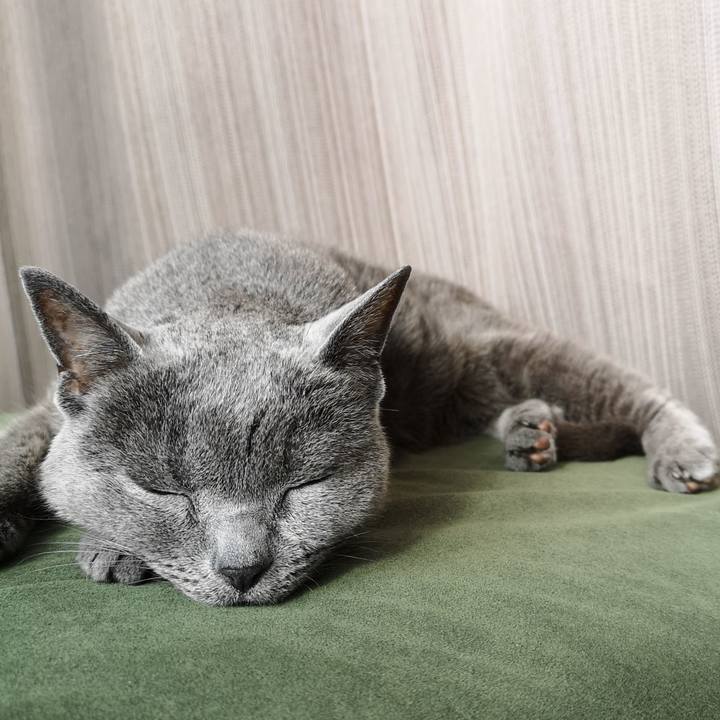 B19f44e6 26c0 4474 93dd e4bc097647ea 1638402478962