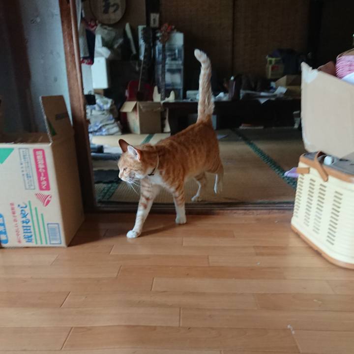 B19f4fd0 b0e5 4960 9a3b efbd714cfa1d 1595569233397