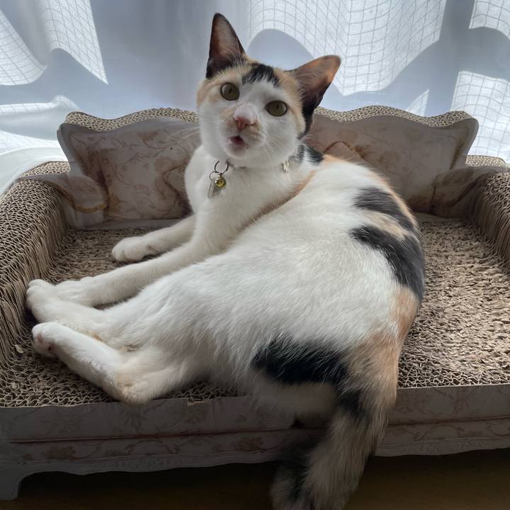 B19f6d89 6e4c 4e7c 9f57 9a2b0392d140 1681199791003