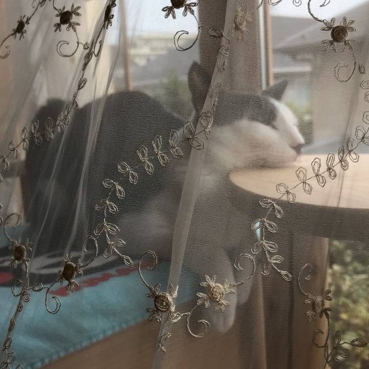 B19f7757 12a9 490f a3d5 f4cce2476b30 1540519922877