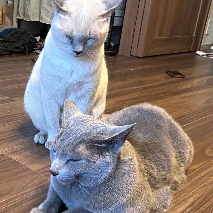 B19f9b8b eed8 48ee 83df 5cc3fadc8ffc 1736554718343