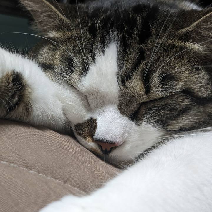 B19fa9c4 52cb 4150 a71f 7860abecbd54 1715495573754