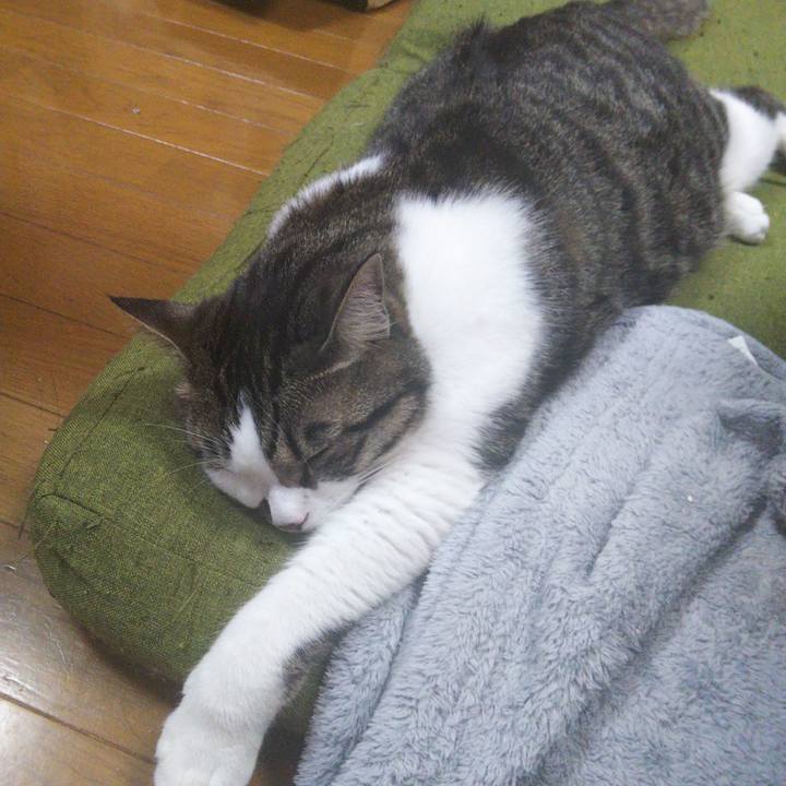 B19fbefa 8025 4b7c 9298 12b0018276de 1655175618103