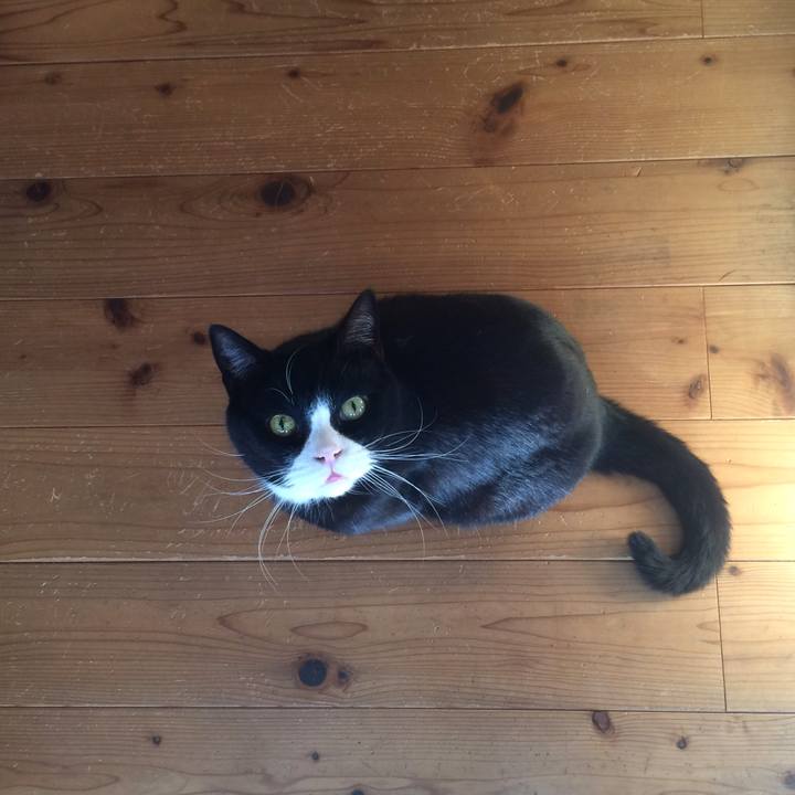 B19fc3df dfff 4493 bc02 8ae2fbfdcb50 1515283960434