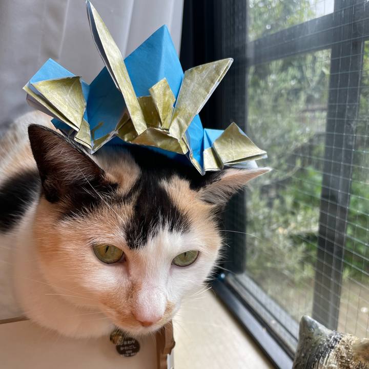 B19fd251 a201 416f 9aaa 85e1434b7763 1745799468826