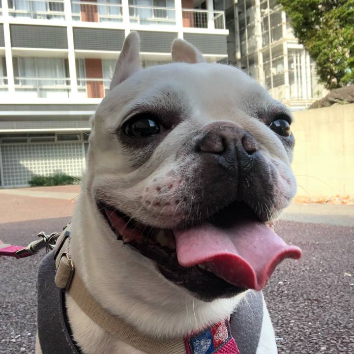 B19fff49 2c47 46b8 9b0c dbdaf257ab96 1572157677386