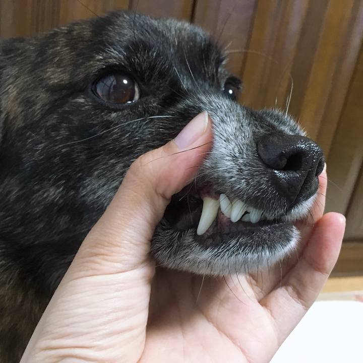 B1a0110b 3eff 43c2 80ab a697f23e21a8 1554543090811