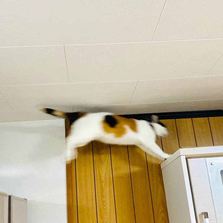 B1a02cd2 d696 4cd8 b15a 6c0eeac41d88 1719751886433