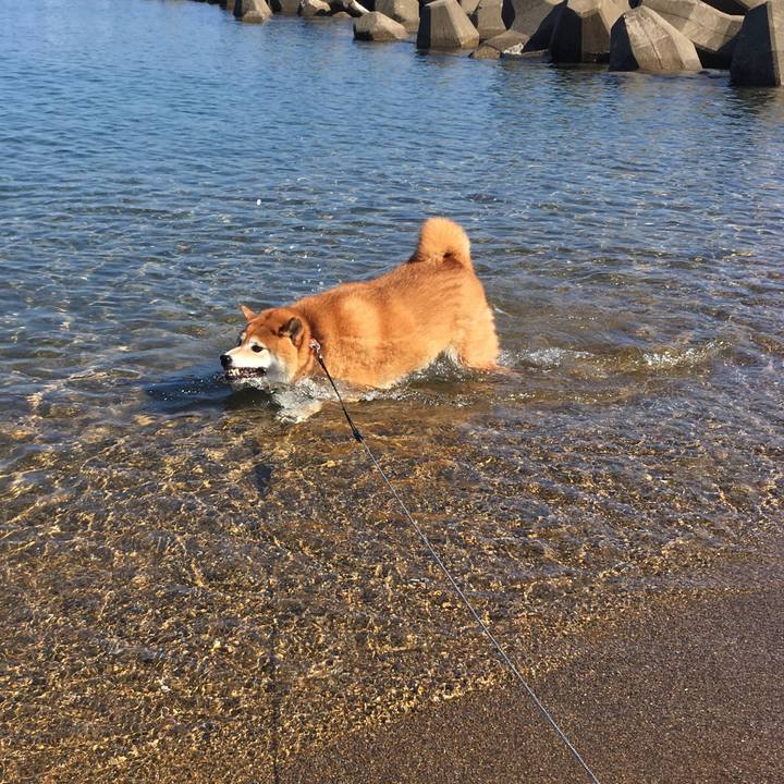 B1a02eee 7157 48ba aa1f 92d1b0286376 1628297714164