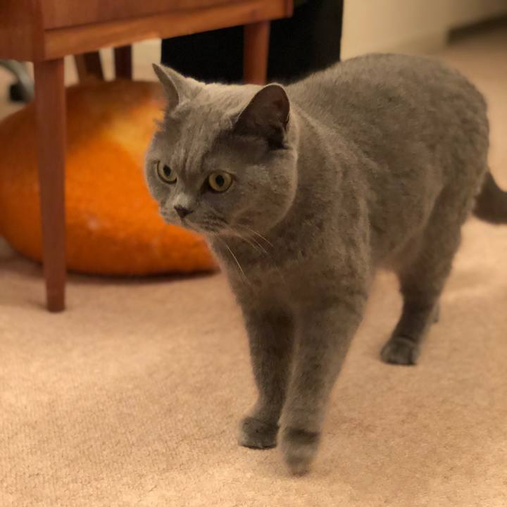 B1a06d37 f21f 40aa 92d0 5cdd3b80286c 1522853397875