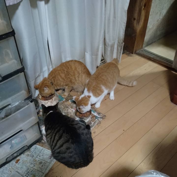 B1a073a8 6ea8 47d1 984d 9a8b11017f5a 1760951889220