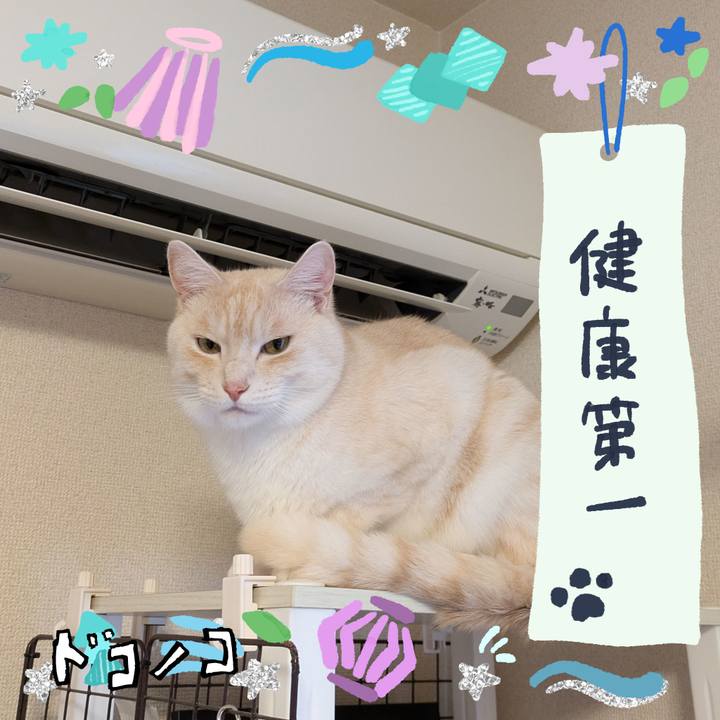 B1a08541 50ee 4bf0 b8de cf06686072e1 1721167914779