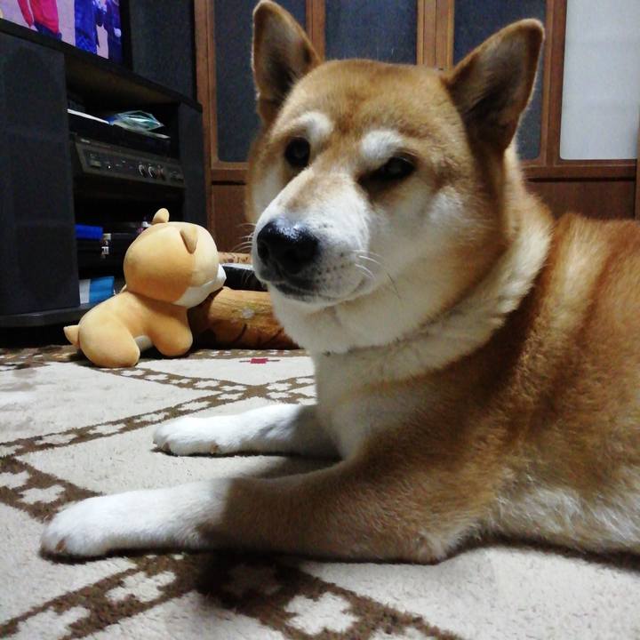 B1a0939d 8716 4ffd a27a 876419b7e6a5 1588514160145