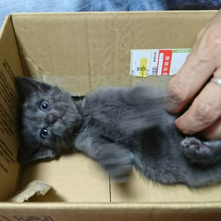 B1a09953 dfec 4171 b24c 0152d3046a4d 1537364867410