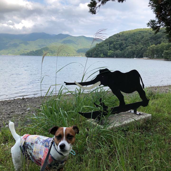 B1a0dd36 60a4 4f67 8a0f 755708908b53 1601451547053