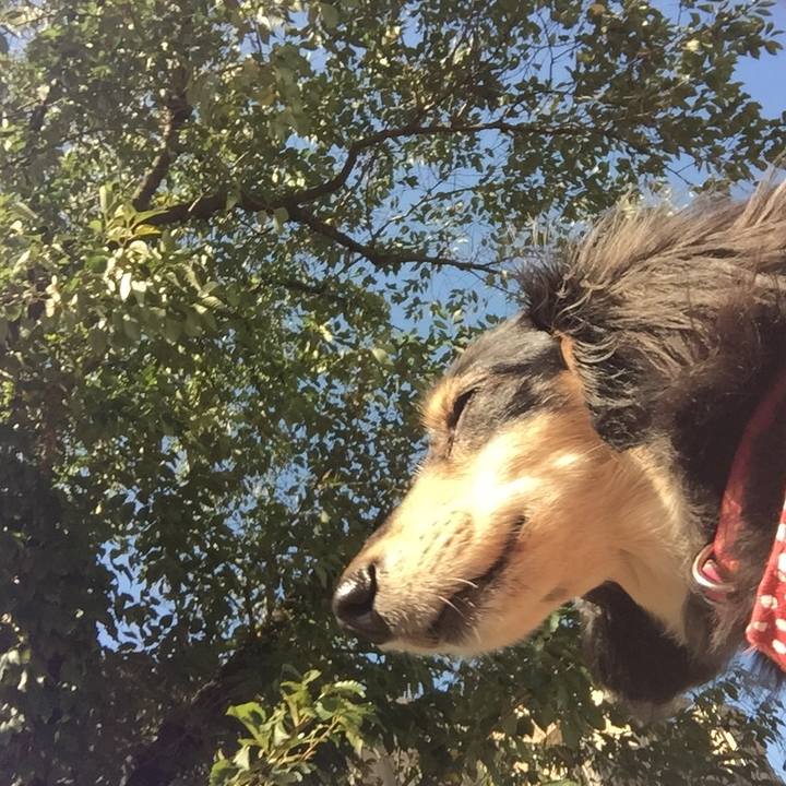 B1a0e69f 9b6f 482a 8ae7 83ecdf470f04 1535328015366