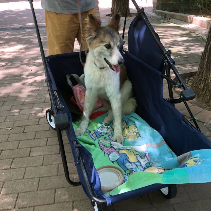 B1a0f403 585d 440b 93a3 8d2756ad3d46 1534575111458