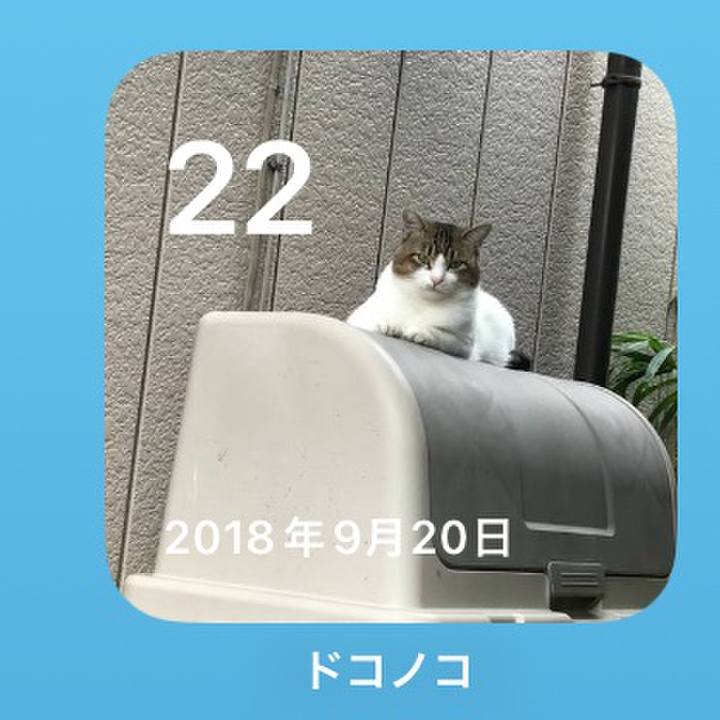 B1a1204c 8fc6 4945 bf1f 745a394b805b 1758515418179