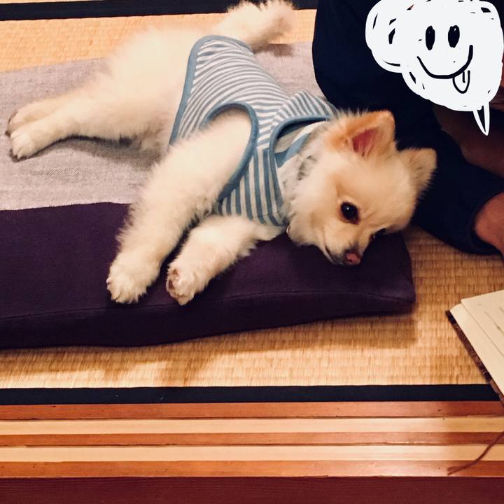 B1a17f79 7c21 4ed6 b9af e76cde5a0e20 1556794960535