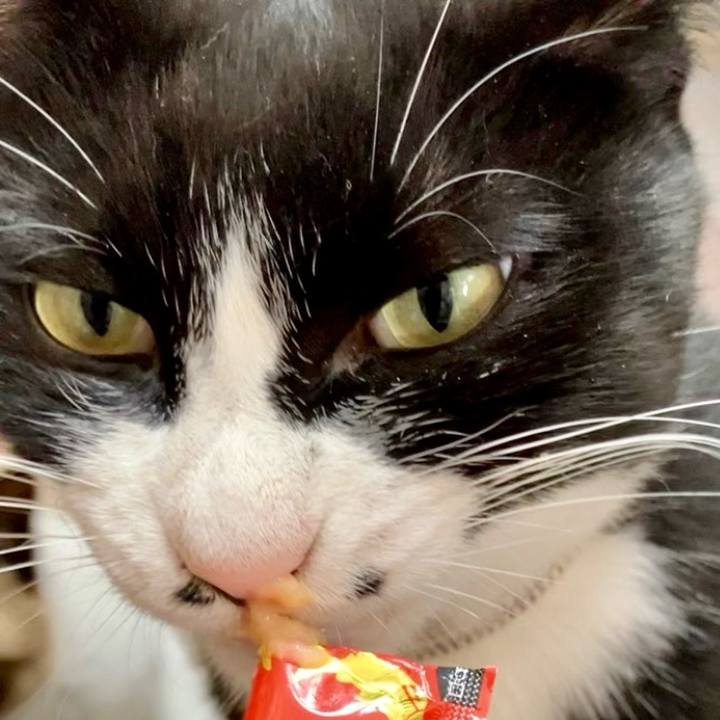 B1a1c8e5 f2e5 40ec a858 31412a0371f5 1731034864244