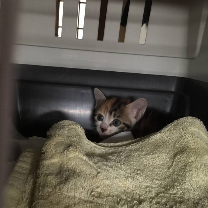 B1a1f4b6 fa7e 4c77 adc3 519b61b72db4 1628033595996