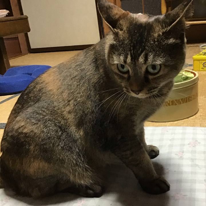 B1a22c4b f77e 4c6c 8388 5452cd165cb2 1750929433363