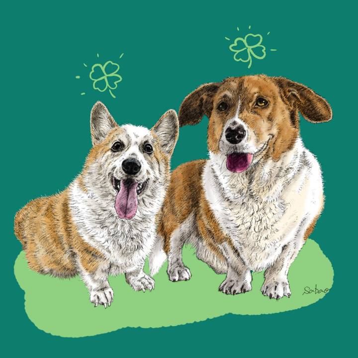 B1a234c8 27be 419c 89ff 21f222bb023a 1768622396223