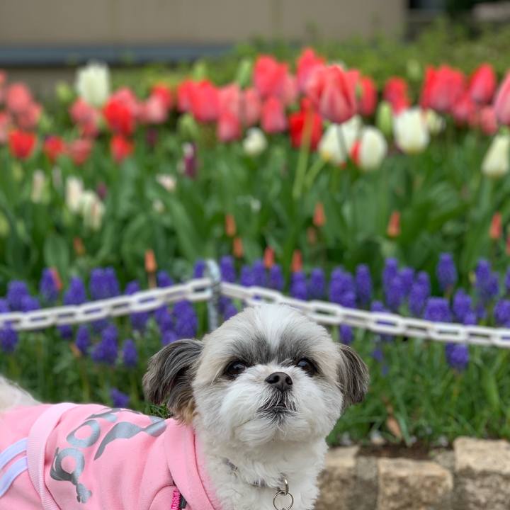 B1a236da 0ccd 4d03 a4af e8d77480e065 1585722406067