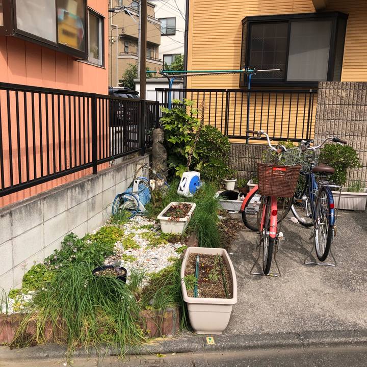 B1a25b10 9e31 4c3c 8d04 6dfe94831807 1617085613149