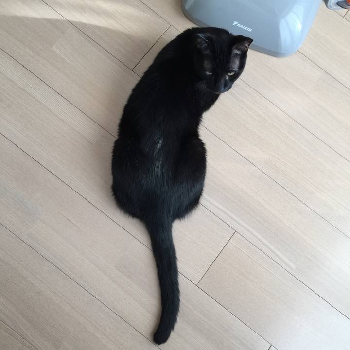 B1a2a473 0434 4b29 a64f 9d5d0e48e70f 1519198329595