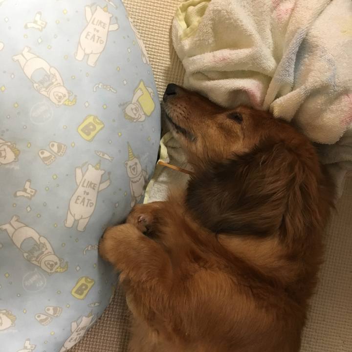 B1a2a875 b5aa 4ba6 b6aa 8105c713941a 1532904542837