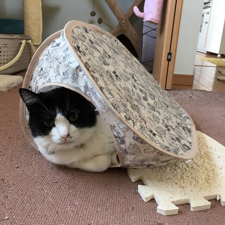 B1a2c1e9 ef69 40b1 bf61 9ee8b7310e8d 1525401596255