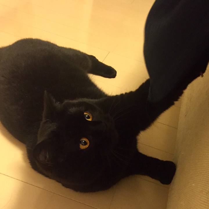 B1a2c610 8702 40bd b3e9 57b62839521c 1562246942066