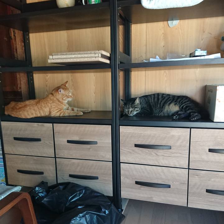 B1a2fd9f 9e1e 453d 8315 67e55eb601be 1662420691255