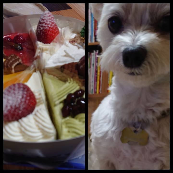 B1a30ec0 16b1 43e5 9f1b fa6cb7f49ce1 1545719713932