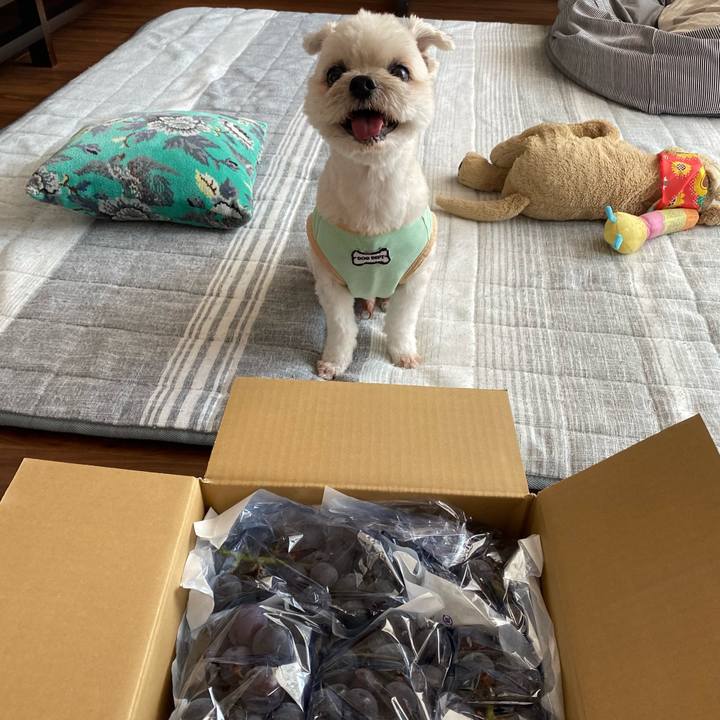 B1a322af c991 4ad5 9f13 43376afce6f0 1756529404528