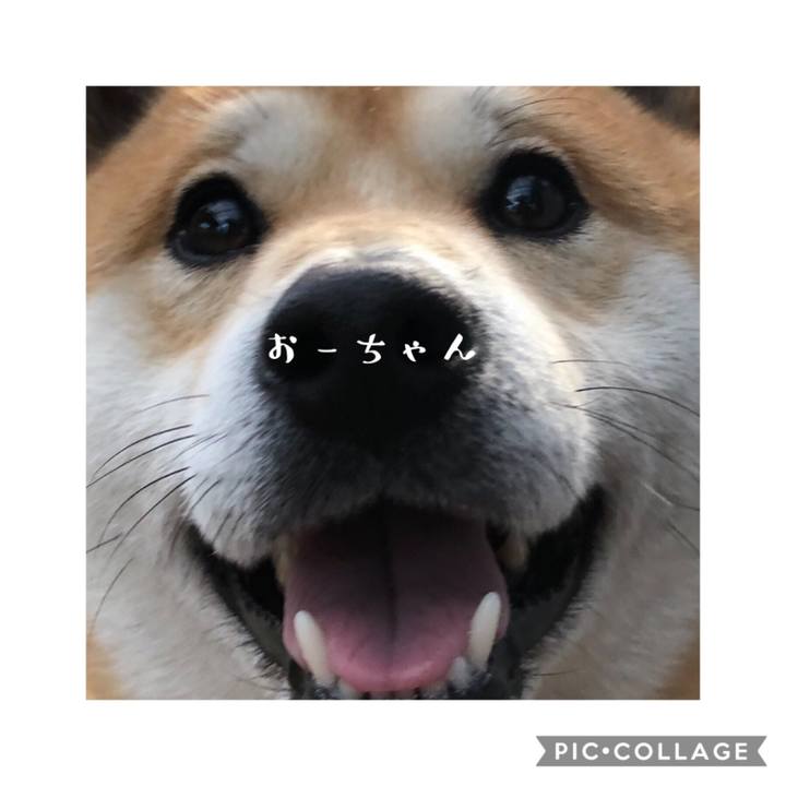 B1a382ab bb05 4185 8429 3074260f1c57 1568037158576