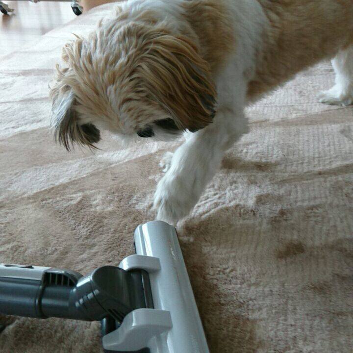 B1a39434 0cd0 4337 a562 8c3f664ce85a 1519369833973