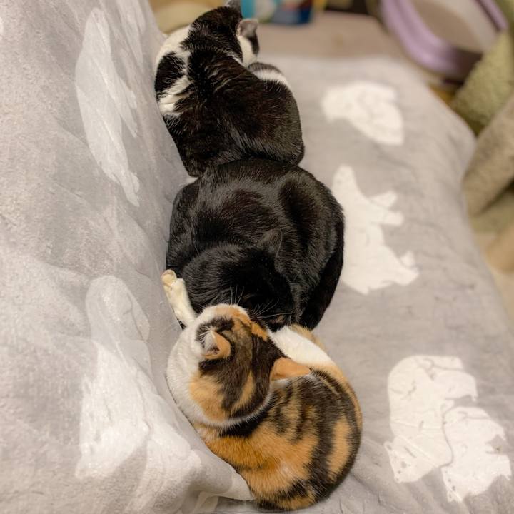 B1a3ac95 e59f 4f2a 8030 8471d363b88e 1586480228040