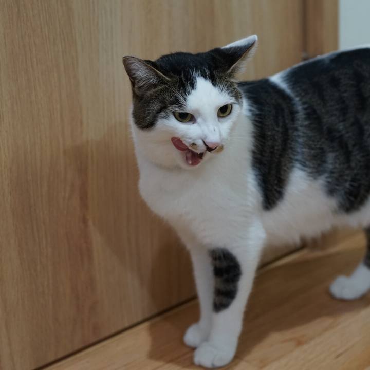 B1a3b738 6c17 45b5 9424 bbf42565b17f 1533772094367