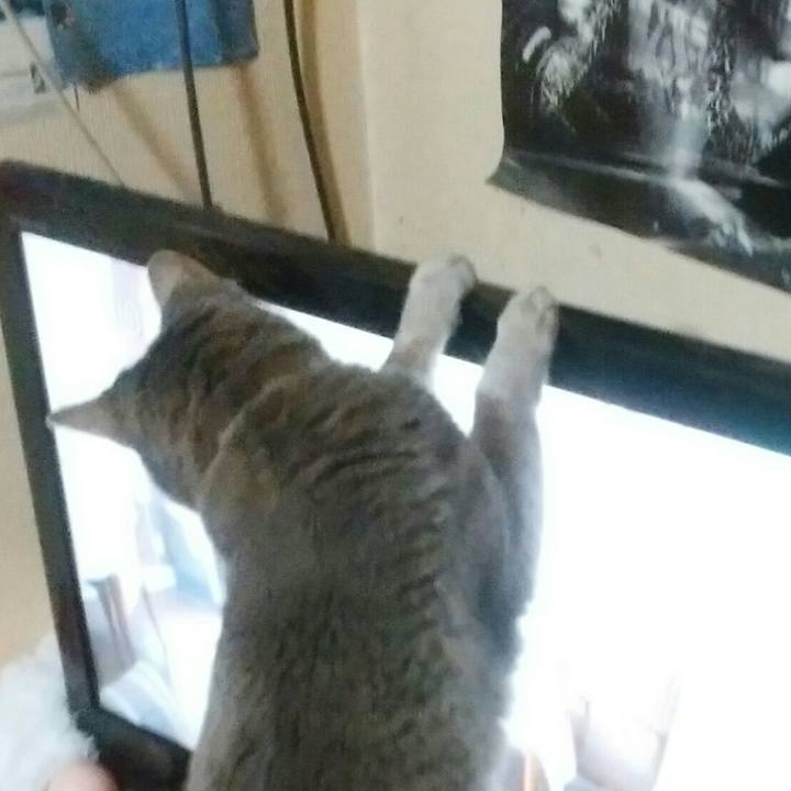 B1a3b833 2b46 4c47 bd29 4fa4c4831575 1557416664758