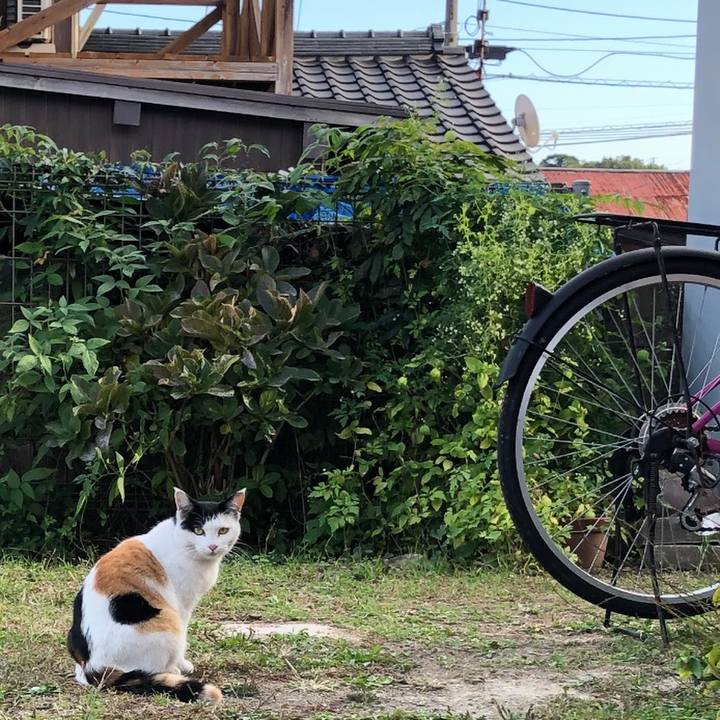 B1a3d9f9 646a 4a6e 8381 f27b65ad6725 1604655211511