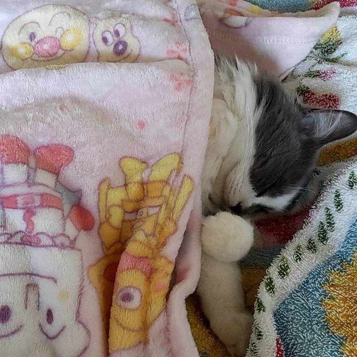 B1a3f29f bbb8 415e 8288 c628f7ae2ae9 1666310286740