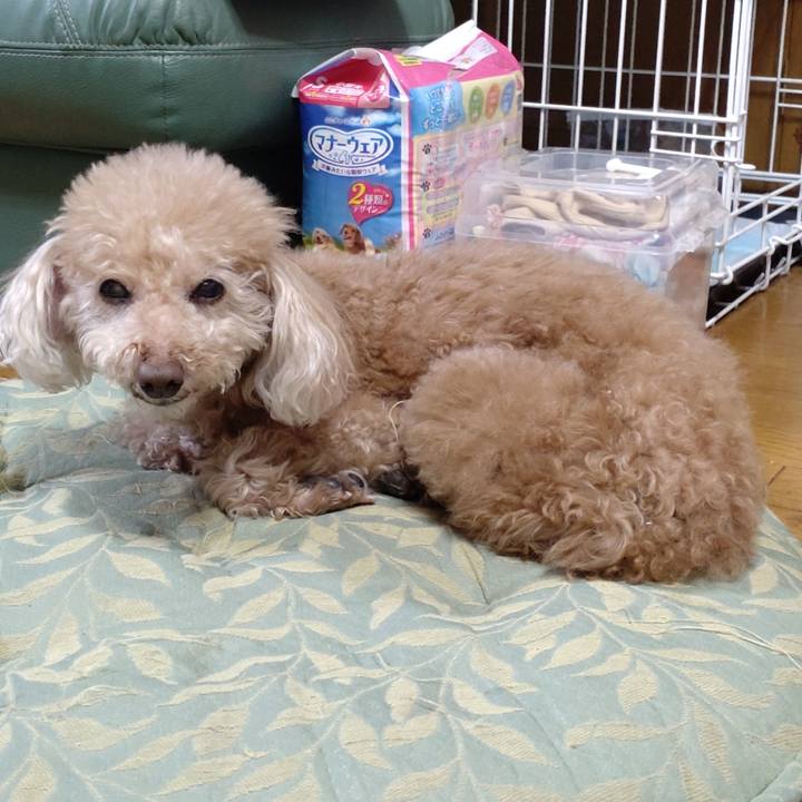 B1a413c3 6687 4594 81aa 29ef3eb7229b 1676809686637